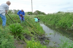 Working together to keep Essex Waterways clear of ‘alien’ plant species