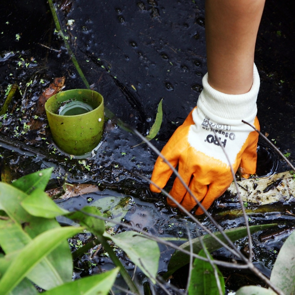 Gloved hand removing debris from river