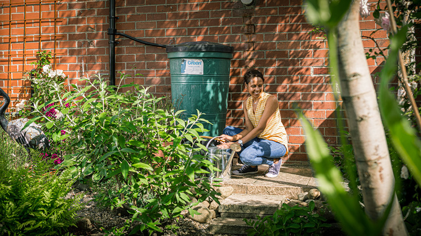 Get to grips with greenery