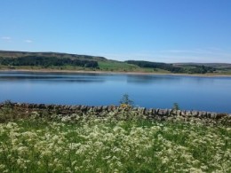 Total Water Solutions