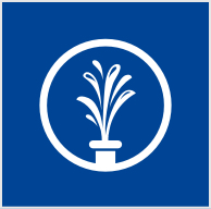 water gushing from pipe